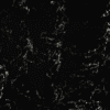 Aqua Black