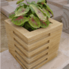 FLOWER POT
