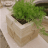 FLOWER POT