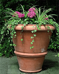 FLOWER POT