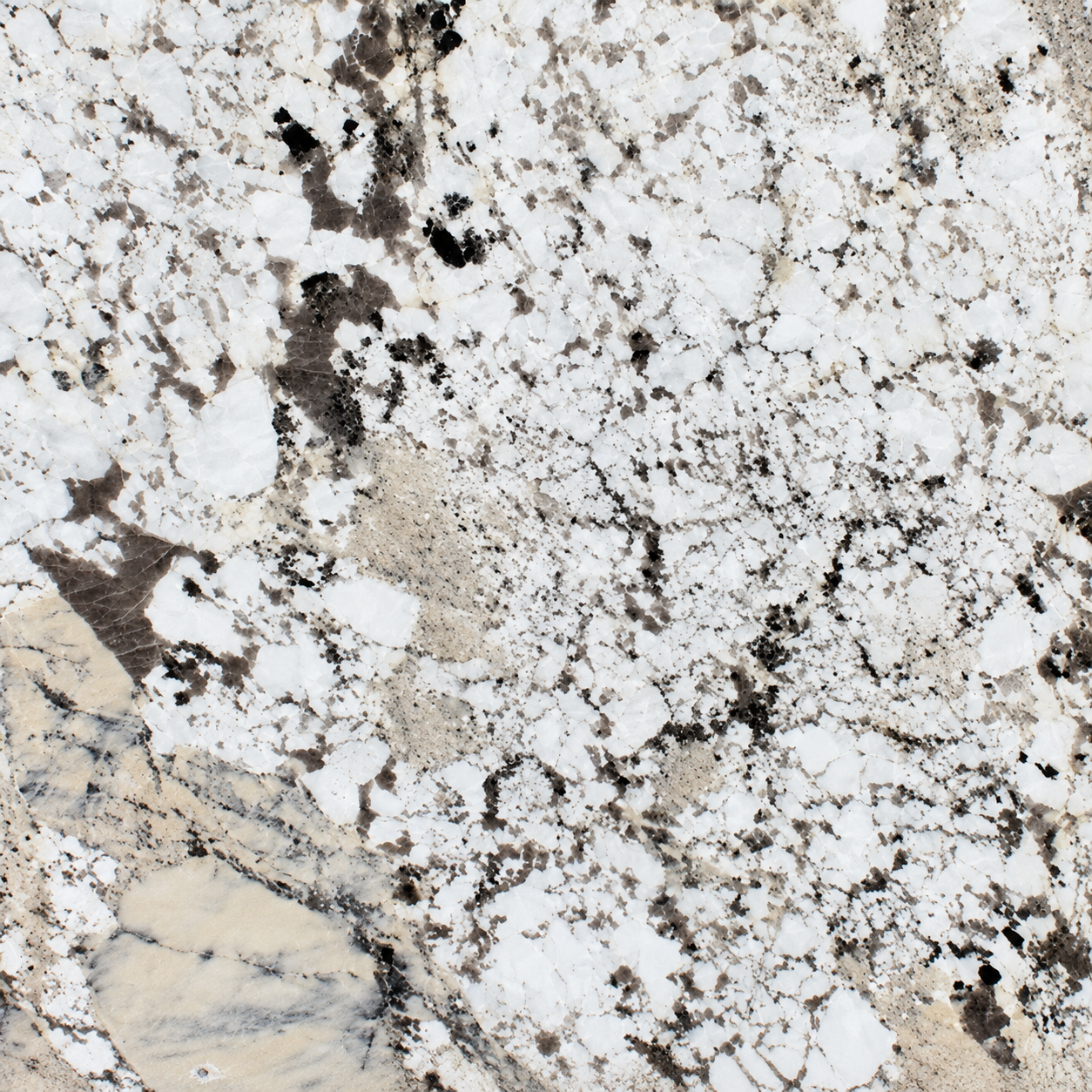 Alpinus White Granite