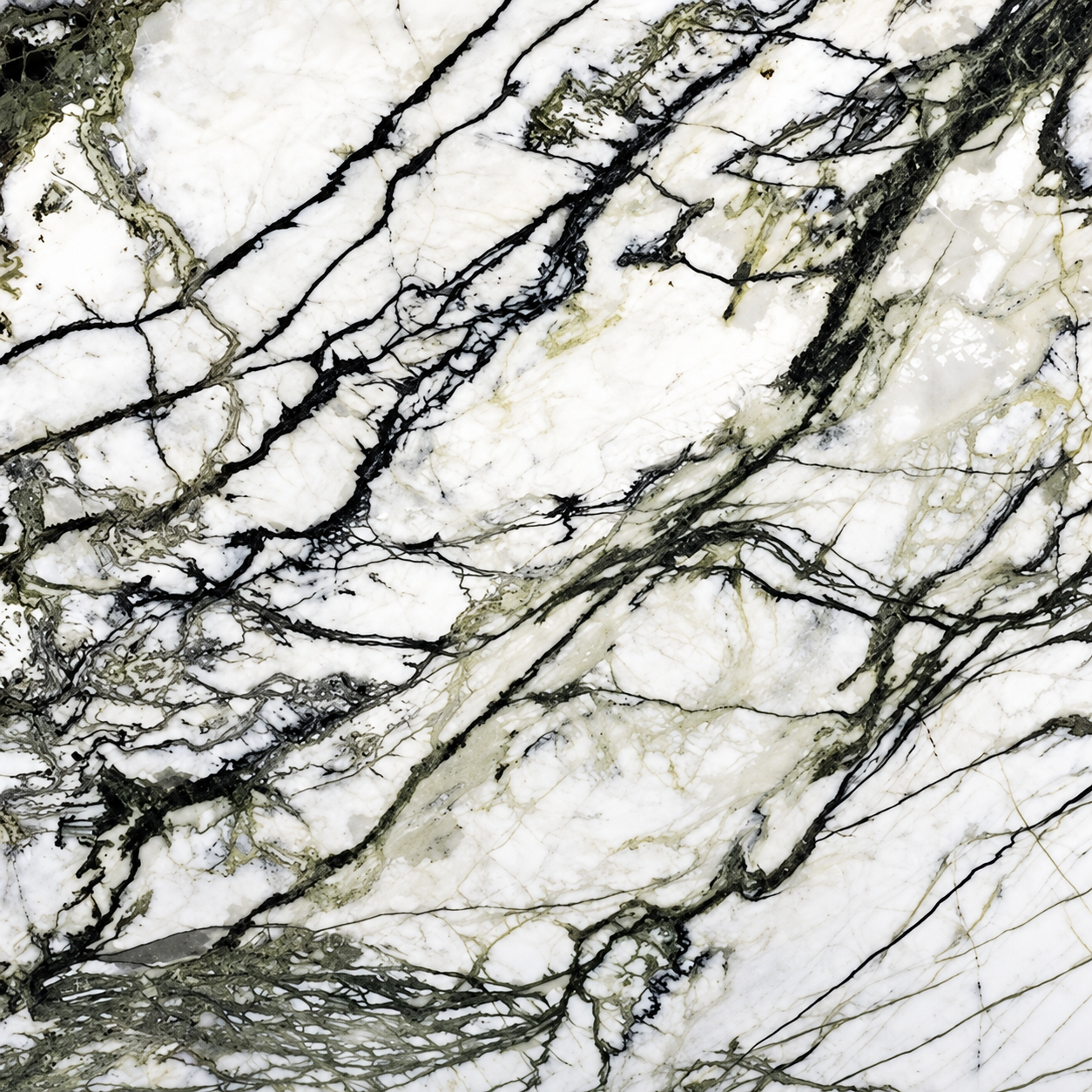 Amazon White Marble