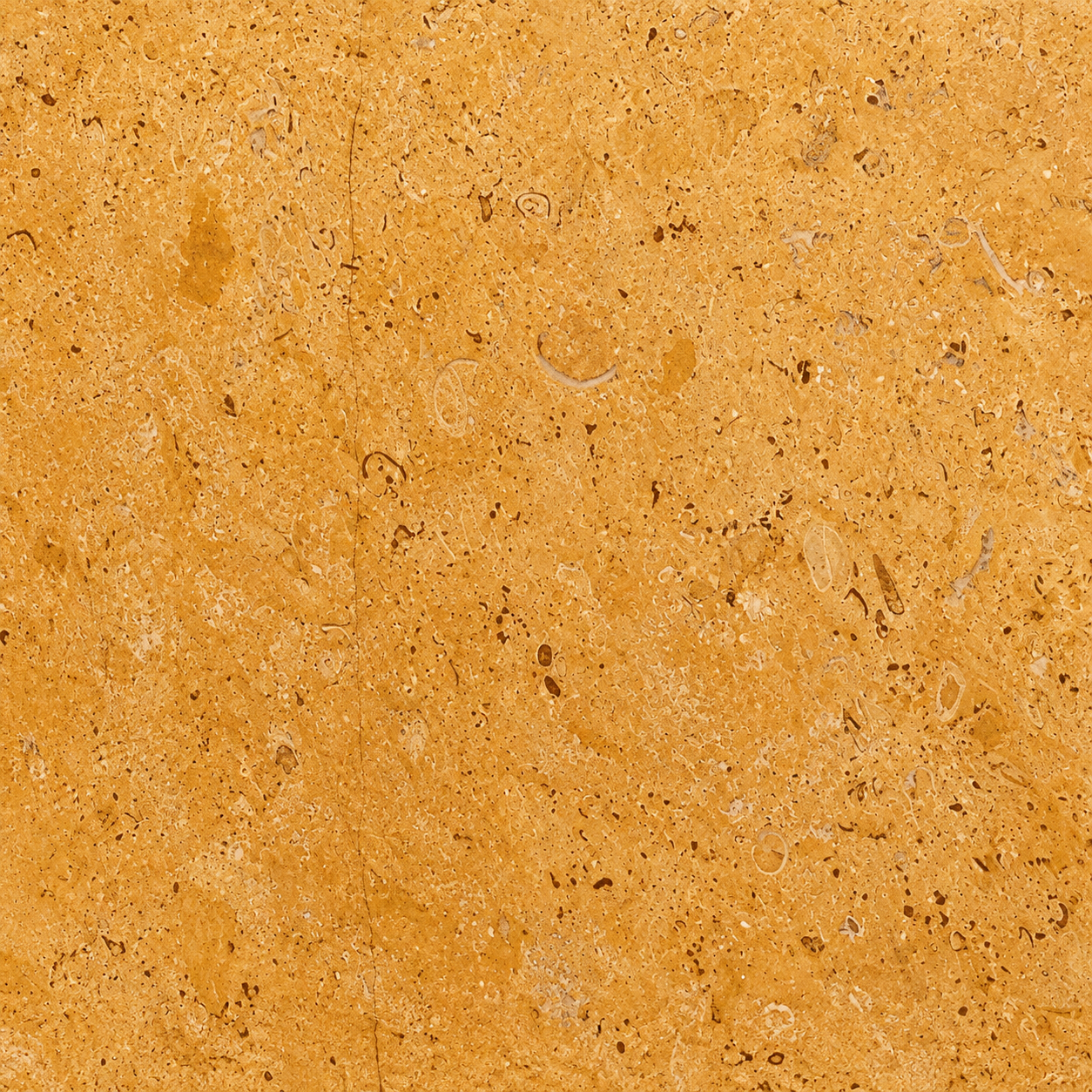 Flower gold Leather
