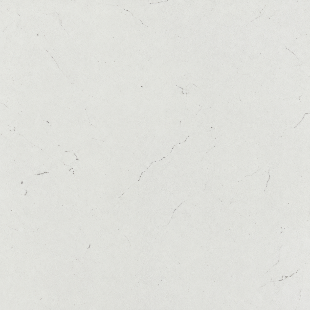 Bianco Swiss
