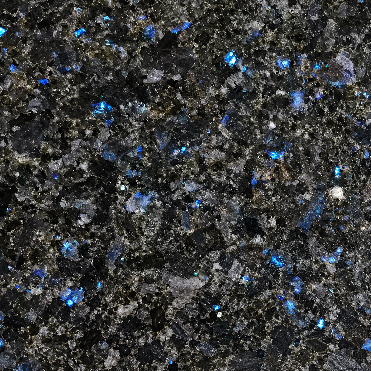 Blue Pearl