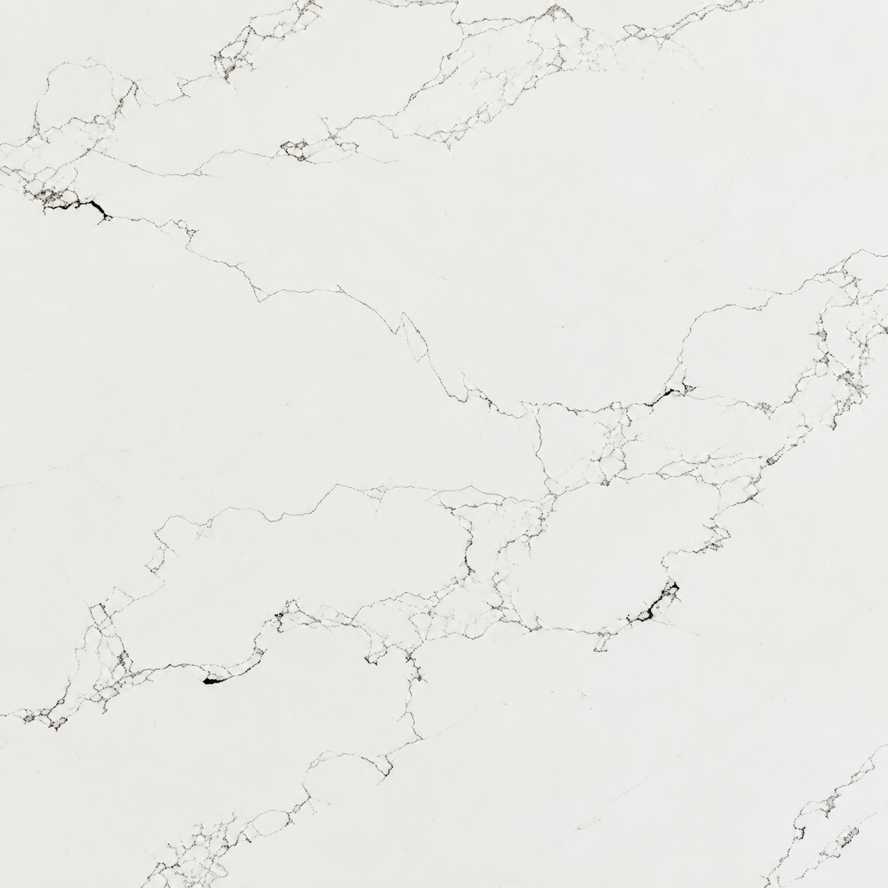 Calacatta Diana Silver