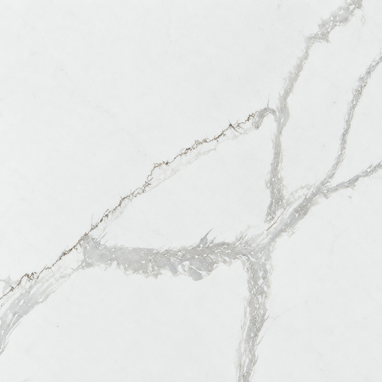 Calacatta Rocky