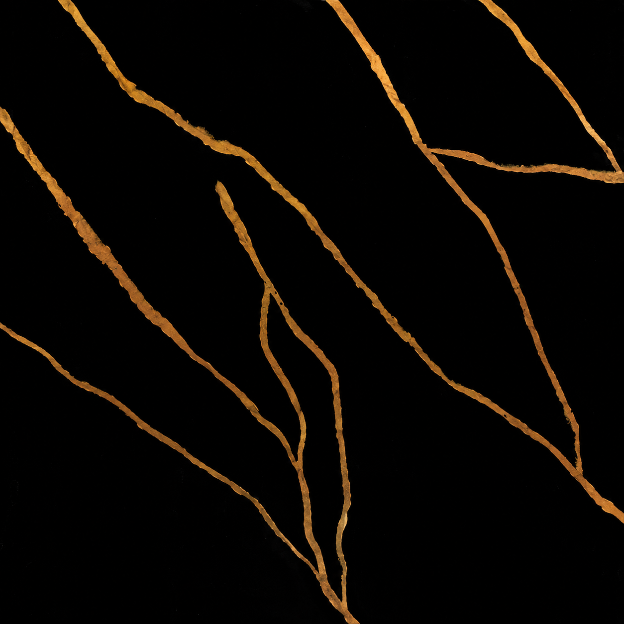 Manassa Gold