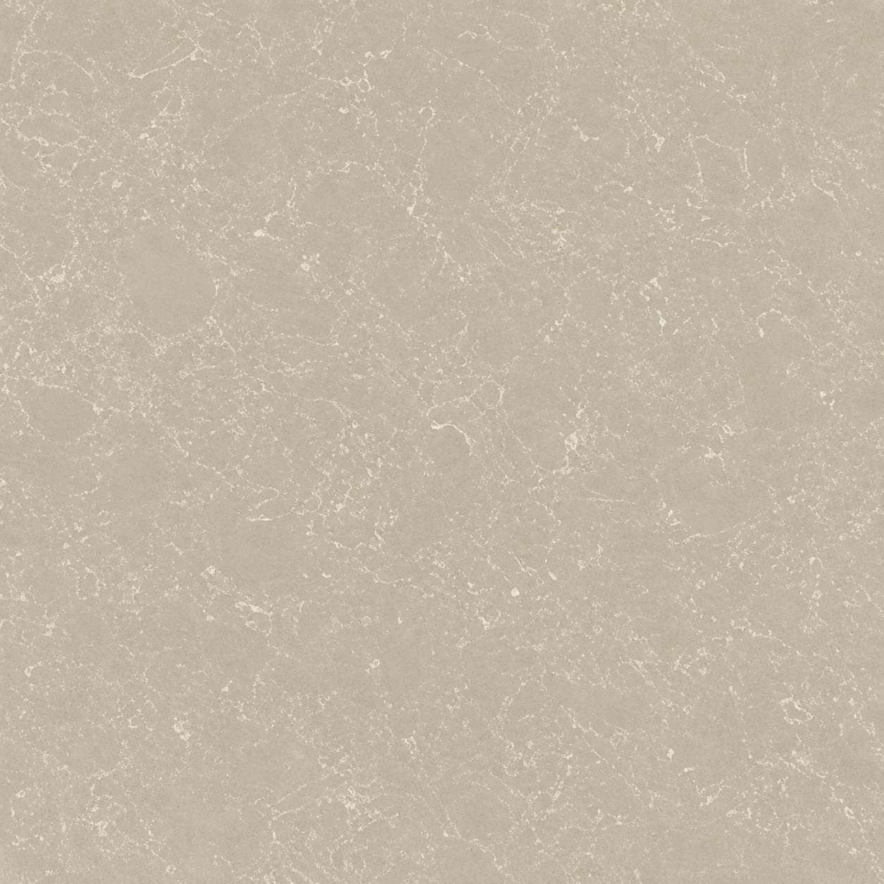 Pacific Beige