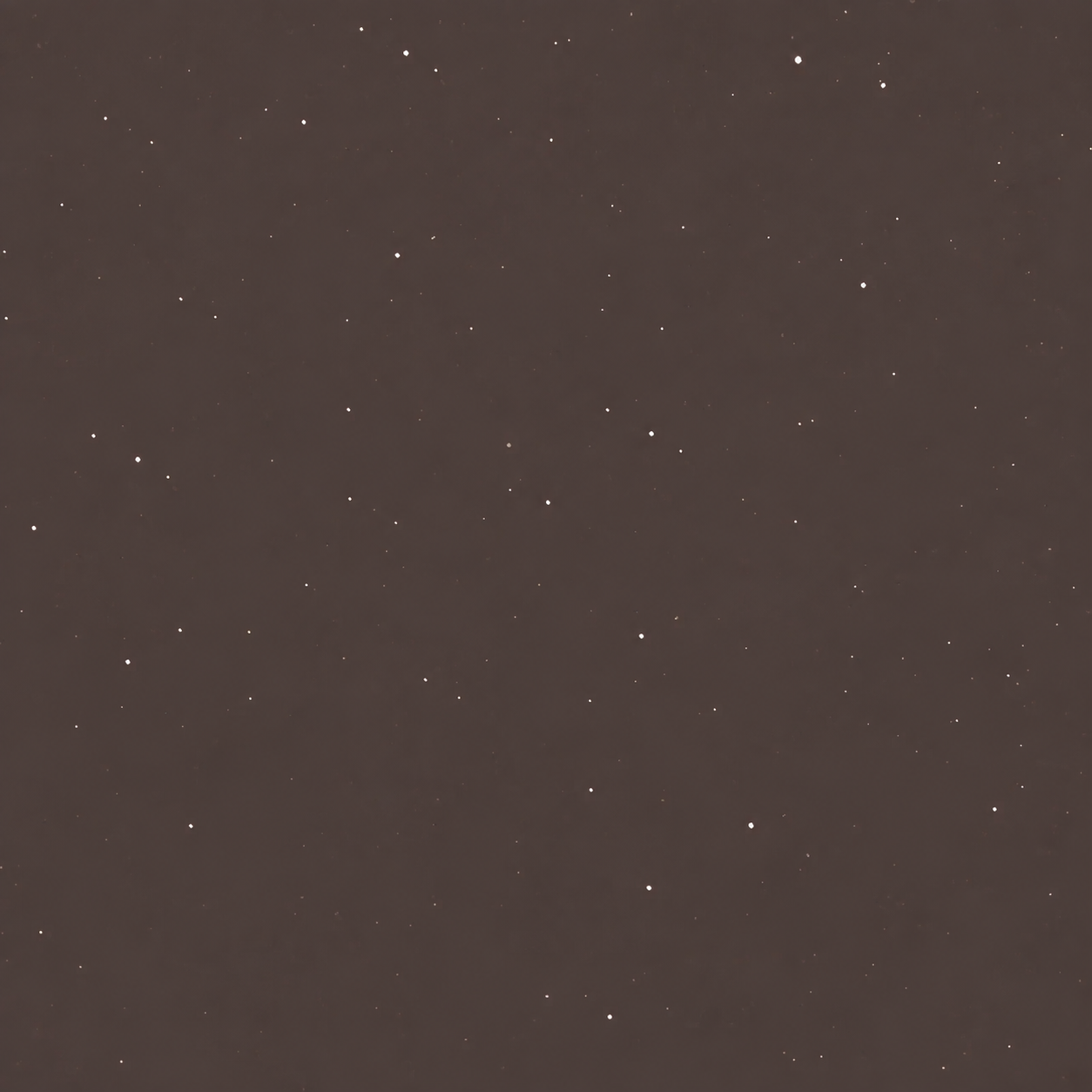 Brown Antracita