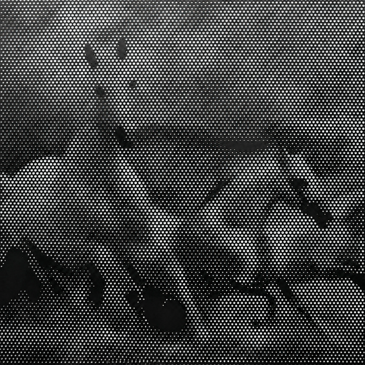 Running Horses