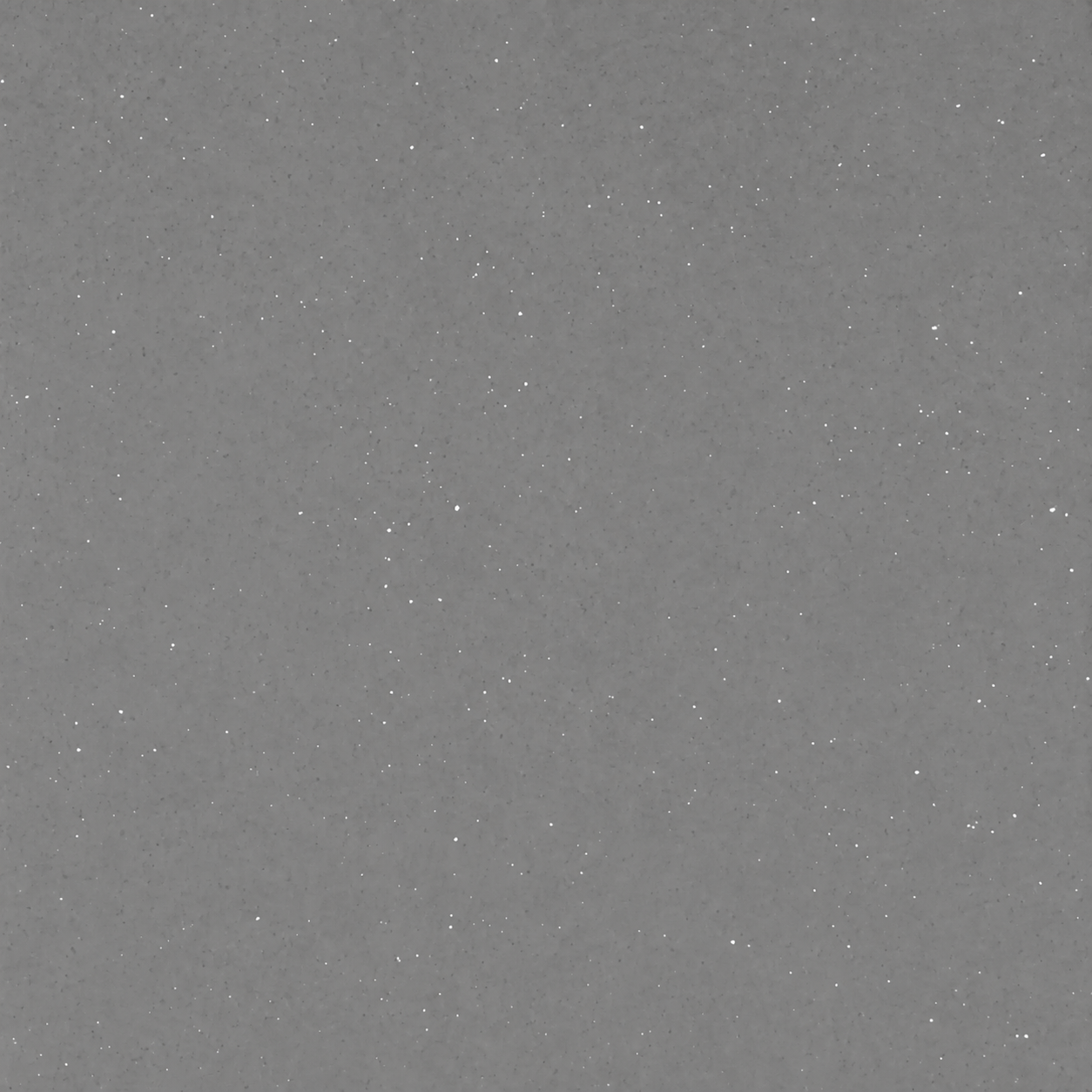 Gress Sparkle