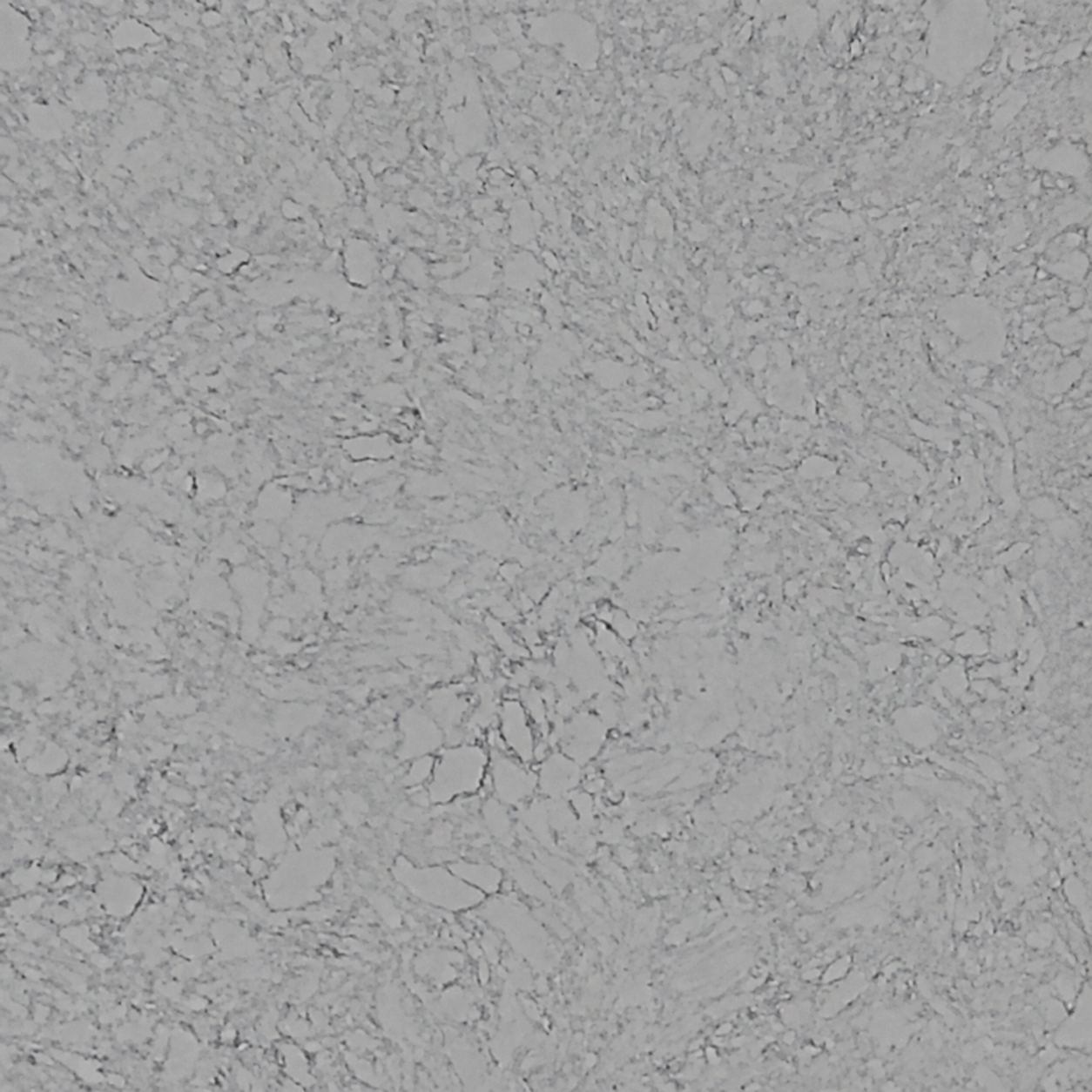 Oyester Grey