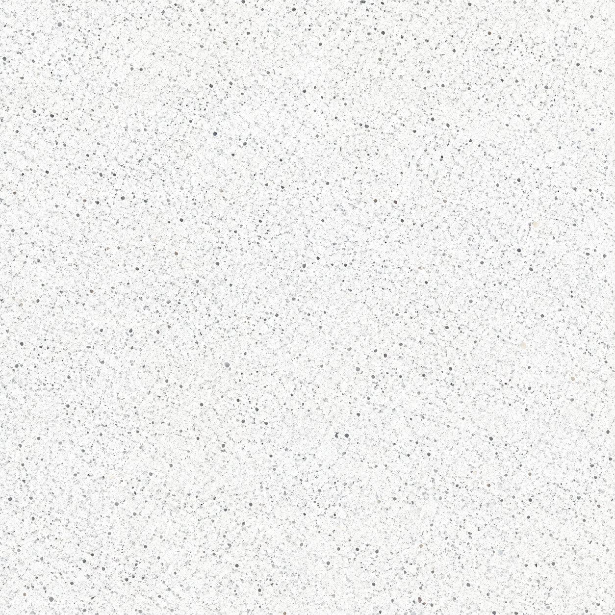 Bianco Maple