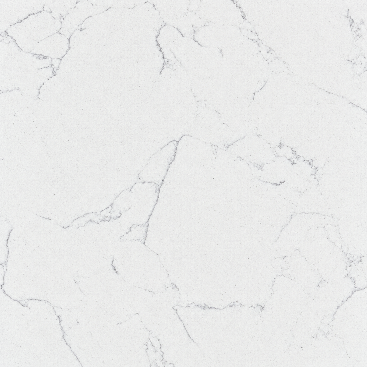 Carrara Verna