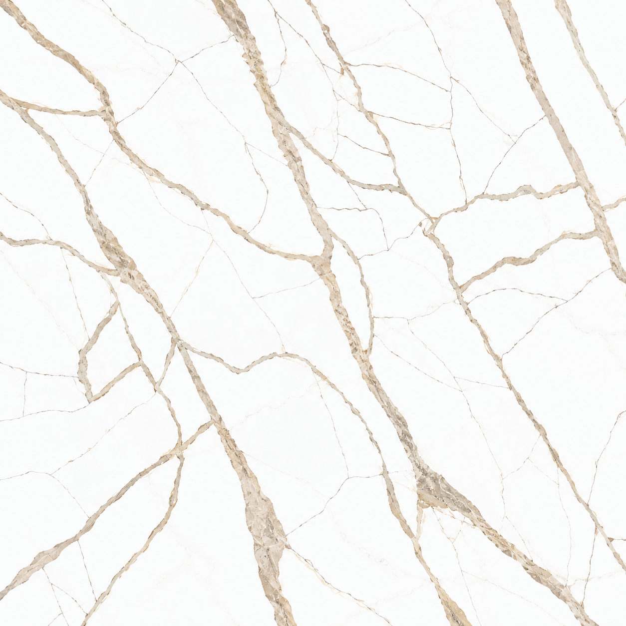 OCEAN WHITE